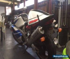 Motorcycle SUZUKI TL1000R MOTORBIKE for Sale