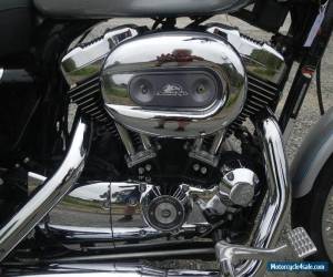 Motorcycle HARLEY DAVIDSON 1200cc CUSTOM SPORTY AS NEW Only 23,270 ks for Sale