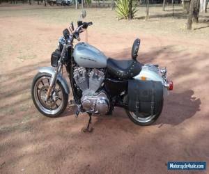 Motorcycle harley davidson sportster 883 super low  for Sale