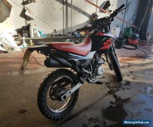 Motorcycle 2005 55 HONDA XR 125 L-5 BLACK ENDURO ROAD BIKE LONG MOT RELIABLE COMMUTER for Sale