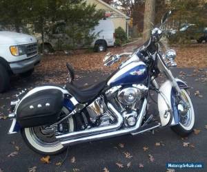 2005 Harley-Davidson Softail for Sale