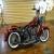 2013 Harley-Davidson Softail for Sale