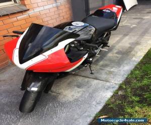 Motorcycle 2003 Yamaha YZF R6 Track Bike  for Sale