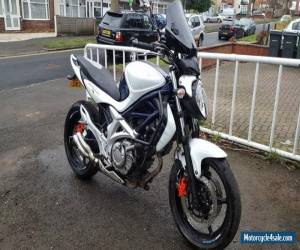 Motorcycle SUZUKI GLADIUS 2010 SFV650 LO MOTORCYCLE MOTORBIKE BLUE for Sale