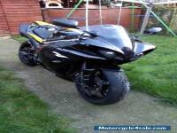 YAMAHA R1 BIG BANG 2009/59 