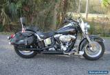 2005 Harley-Davidson Softail for Sale