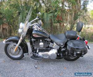 Motorcycle 2005 Harley-Davidson Softail for Sale