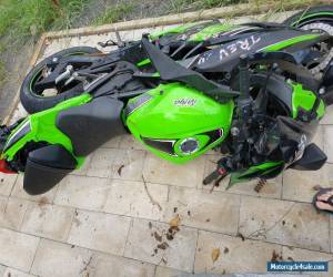 Motorcycle Kawasaki EX300A for Sale