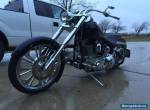 2005 Harley-Davidson Softail for Sale