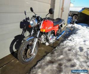 Motorcycle 1978 Ducati GT for Sale