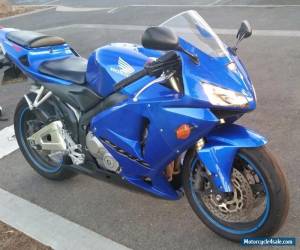 Motorcycle 2005 Honda CBR600RR for Sale