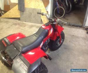 Motorcycle Honda atc 125m for Sale