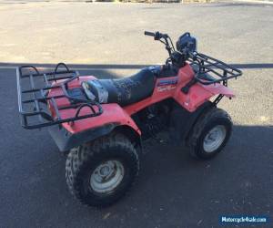 Motorcycle SUZUKI QUAD RUNNER 250 for Sale