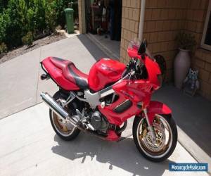 Motorcycle Honda VTR 1000 Firestorm for Sale