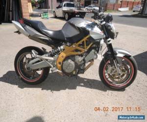 Motorcycle APRILIA SHIVER 750 2008 GREAT NAKED SPORTS BIKE ITALY TWIN  for Sale