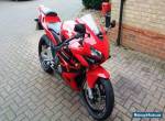 Honda Cbr 600 rr for Sale