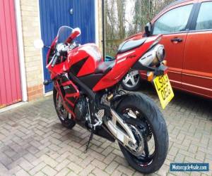 Motorcycle Honda Cbr 600 rr for Sale