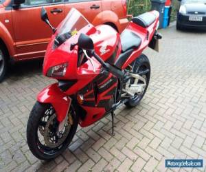 Motorcycle Honda Cbr 600 rr for Sale