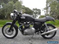 TRIUMPH THRUXTON 2011 MODEL IN SUPURB CONDITION LOTS OF EXTRAS