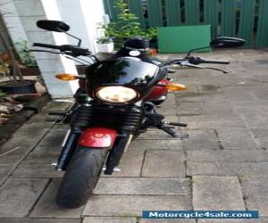 Motorcycle Harley Davidson Street 500 (2015) for Sale