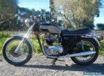  TRIUMPH BONNEVILLE 750, VERY RARE, WILL SUIT CLUB REGO OR COLLECTOR for Sale