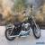 2013 Harley-Davidson Sportster for Sale