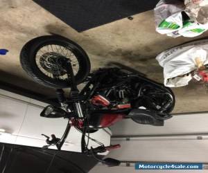 Motorcycle 2008 Harley-Davidson Sportster for Sale