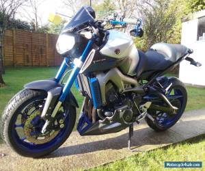 Motorcycle 2015 YAMAHA MT - 09 ABS SILVER for Sale