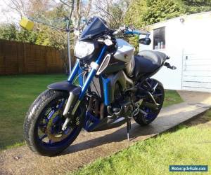 Motorcycle 2015 YAMAHA MT - 09 ABS SILVER for Sale