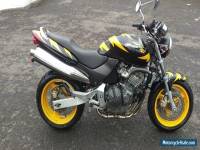 1999 HONDA CB600 HORNET YELLOW/BLACK