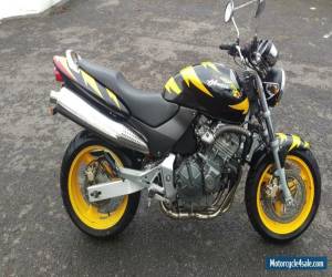 Motorcycle 1999 HONDA CB600 HORNET YELLOW/BLACK for Sale