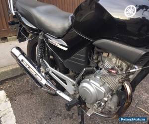 Motorcycle YAMAHA YBR 125 MOTORCYCLE BLACK 55 PLATE CBT LEGAL LOW MILEAGE GREAT RUNAROUND!! for Sale