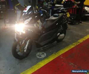Motorcycle 2011 HONDA WW 125 PCX 125 for Sale