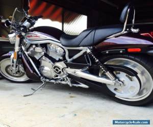 Motorcycle 2005 Harley-Davidson STREET-ROD Vrod  1130CC Cruiser for Sale