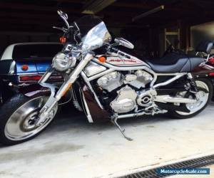 Motorcycle 2005 Harley-Davidson STREET-ROD Vrod  1130CC Cruiser for Sale