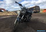 1997 Suzuki Bandit 600  for Sale