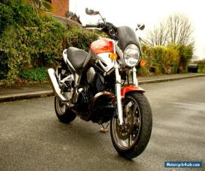 Motorcycle 2003 YAMAHA BT 1100 BULLDOG MUSCLE BIKE PX XJR 1300 VN 2000 SUZUKI V MAX CB for Sale