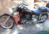 1986 Harley-Davidson Softail for Sale