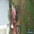 honda crf250l  for Sale