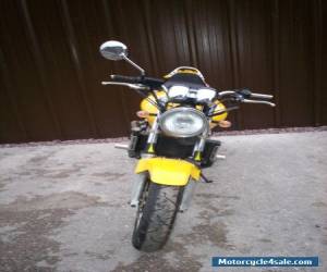 Motorcycle HONDA CB600 HORNET DAMAGE REPAIRABLE for Sale