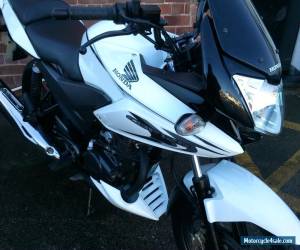 Motorcycle 2014 HONDA CBF125 -EXCELLENT CONDITION *********SOLD**************************** for Sale