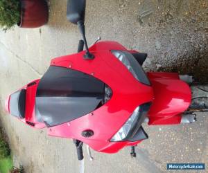 Motorcycle 2003 HONDA CBR 600 RR-3 RED for Sale