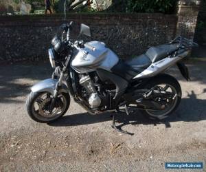 Motorcycle HONDA CBF600N for Sale