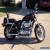 2005 Harley-Davidson Sportster for Sale