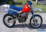 HONDA XR600 XR 600 XR600R perfect CAFE RACER PROJECT or CLUB REGISTRATION for Sale