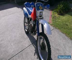 Motorcycle HONDA XR600 XR 600 XR600R perfect CAFE RACER PROJECT or CLUB REGISTRATION for Sale