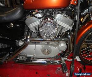 Motorcycle 2002 Harley-Davidson Sportster for Sale