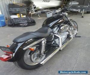 Motorcycle 2006 Harley Davidson Sporster Custom for Sale