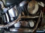 Harley Davidson 1992 Custom Softtail for Sale