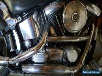 Harley Davidson 1992 Custom Softtail